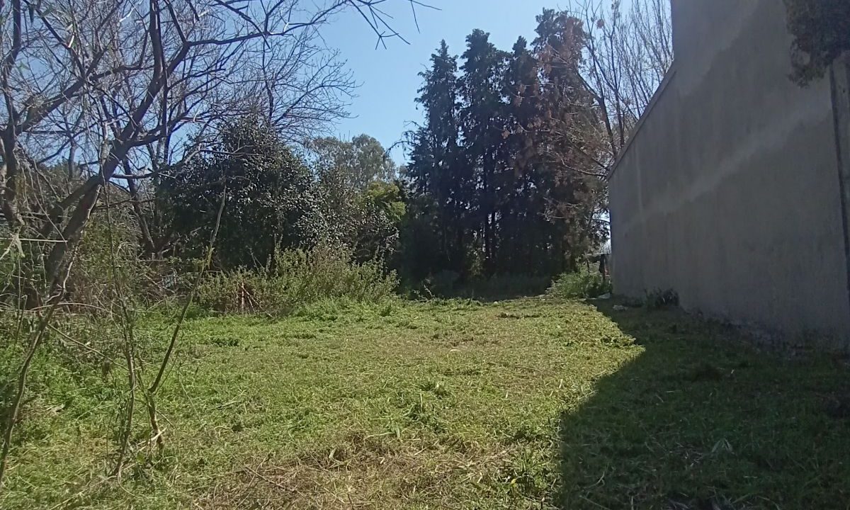 6477896_56812548500315480706807859682494326441165282542709610490710496903080211476780