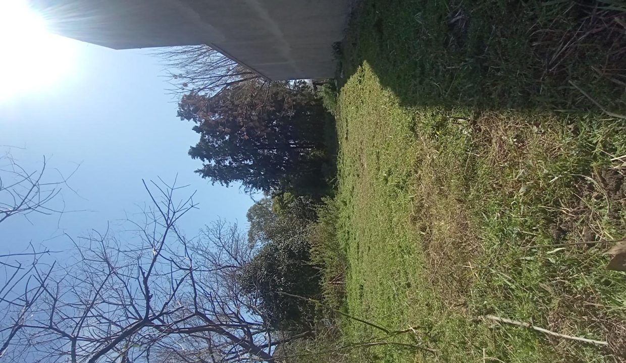 6477896_85127002273013011560045634438970761570146110320789057965340281537961013096943