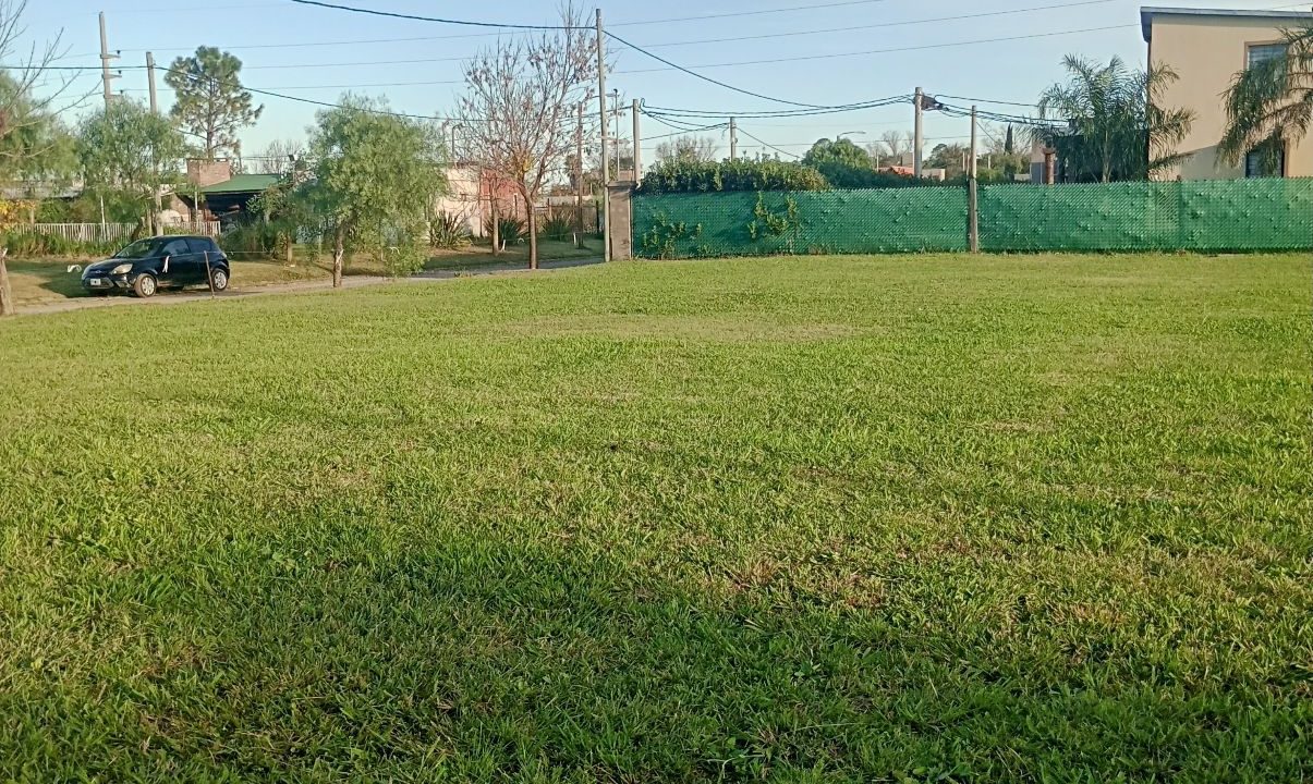 6977009_107485768807147069045510695899036147018570944275245251844985928606492163799730